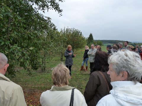 Führung durch den Wildapfelbestand